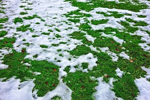 sneh na tráve - kosačka unicarback - zimna udrzba - ako zazimovať kosačku